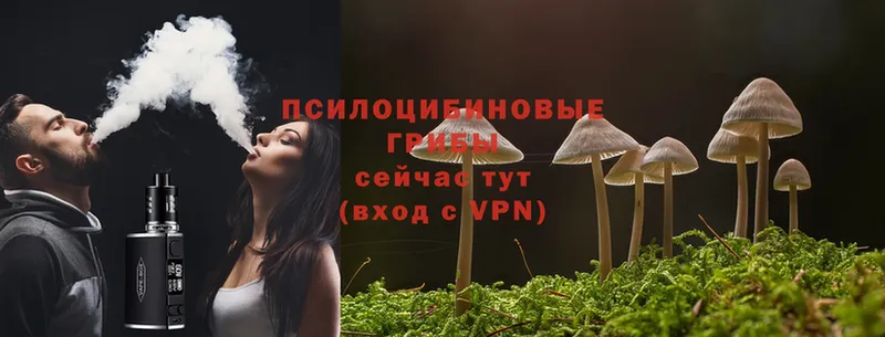 ОМГ ОМГ   Ленск  Галлюциногенные грибы MAGIC MUSHROOMS  закладка 